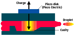 53piezo