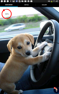 How to install Kitten or Puppy - Cute Pets lastet apk for android