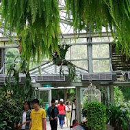 菁芳園 Tenway Garden／花園餐廳／落羽松