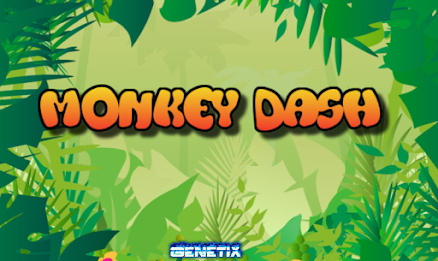 Monkey World Dash poster 12