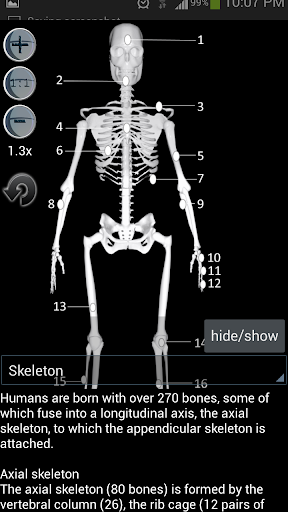 【免費醫療App】Human bones lite-APP點子