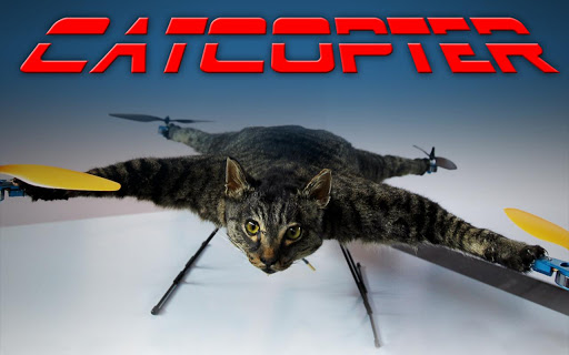 Cat Copter - the flying kitty