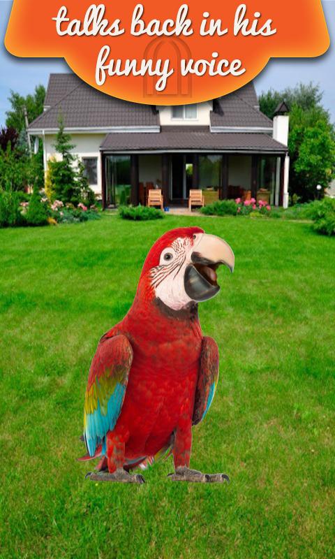 Real Talking Parrot Screen 2