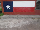 Texas Flag Mural
