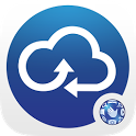 Globe Cloud icon