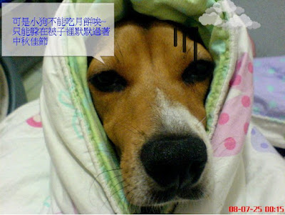 [Event]幫紅豆拉票！來參加PC Home Kuso相片塗鴨比賽吧！ - 阿祥的網路筆記本