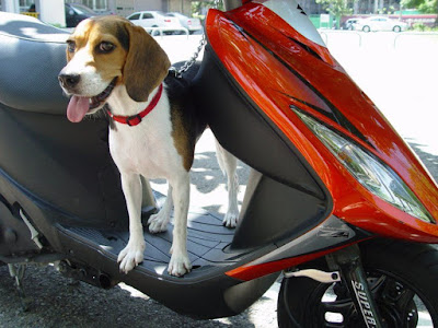 [Motor]都會專屬、輕巧靈動！SUZUKI AZ 125試駕心得！ - 阿祥的網路筆記本