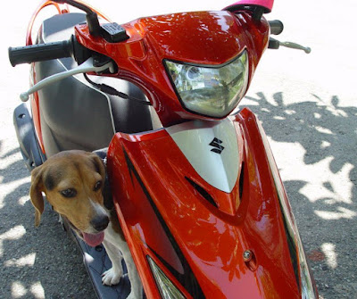 [Motor]都會專屬、輕巧靈動！SUZUKI AZ 125試駕心得！ - 阿祥的網路筆記本