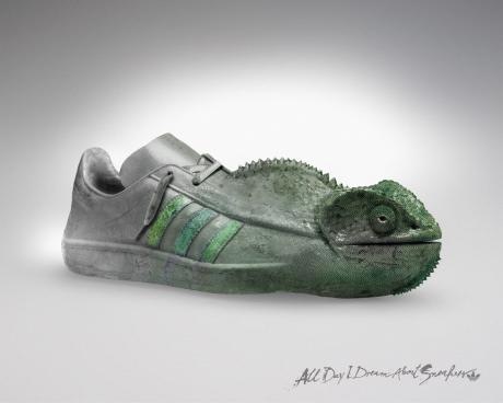 ADIDAS_CHAMELEON.preview