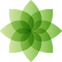 idaconcpts logo