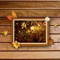 Free Frame Picture Theme icon