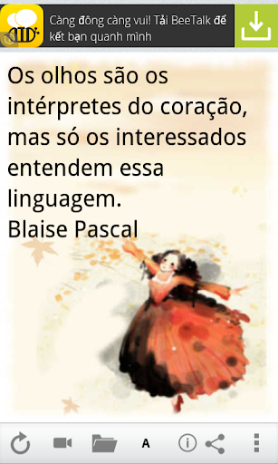 Frases e Citações