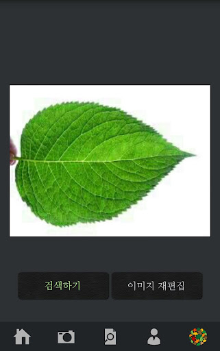 【免費攝影App】식물찾기 (PlantIDS)-APP點子