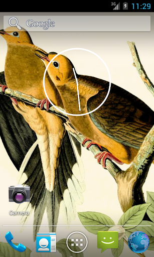 免費下載攝影APP|Audubon's Birds of America V02 app開箱文|APP開箱王