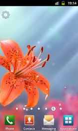 My Lovely Lily LWP poster 2