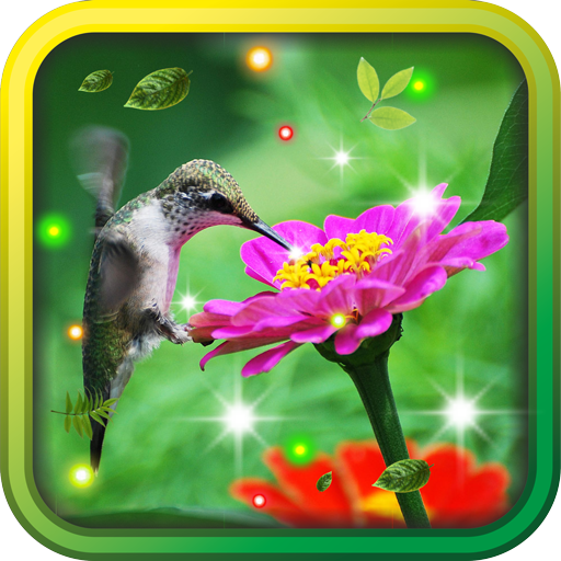 Colibri Amazing live wallpaper LOGO-APP點子