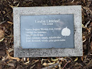 Lindon Littleleaf