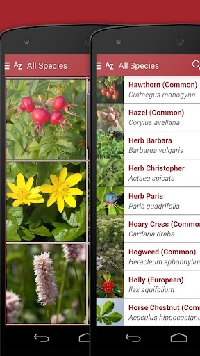 【免費書籍App】Wild Berries and Herbs 2 PRO-APP點子