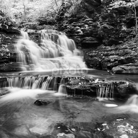Above Mohican Falls, 2014.10.10 by Aaron Campbell - Black & White Landscapes