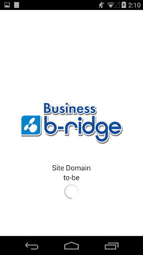 Business b-ridge