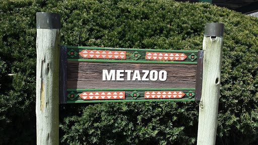 Metazoo