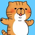 Rolling cat LiveWallpaper03