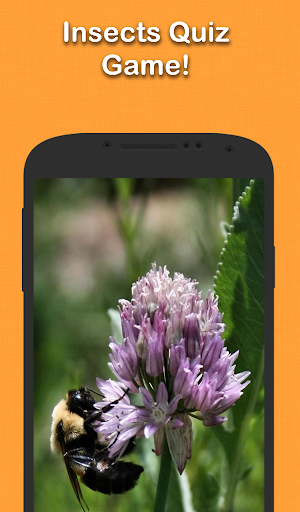 【免費益智App】昆虫問答游戲-APP點子