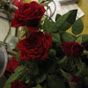 Miniature rose with double center - unusual