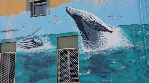 Albany Backpackers Whale Mural