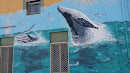 Albany Backpackers Whale Mural
