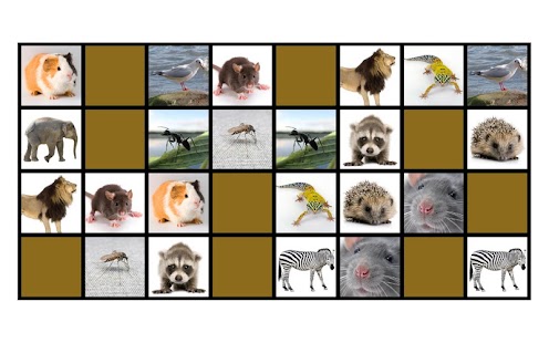 Momery Screenshots 1