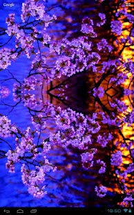 How to download Evening Sakura at a Kyoto Pond lastet apk for laptop