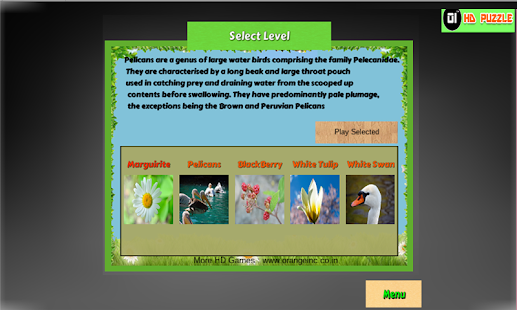 How to download HD Puzzle Lite patch 2.0 apk for bluestacks