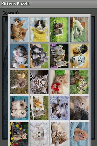 Kittens Puzzle