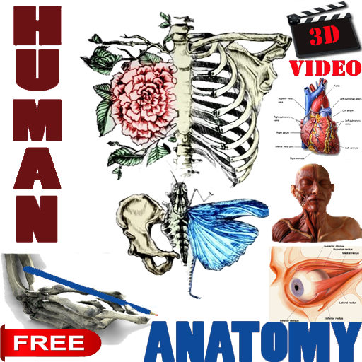 3D視頻解剖講座