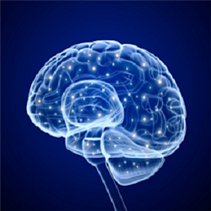 Test Memory.apk 1.1