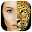 Animal Morph : Face Mixing Download on Windows