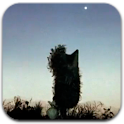 Hedgehog in the Fog LWP logo
