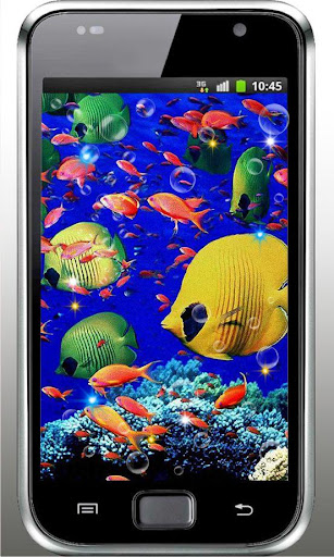 Fishes Racing live wallpaper