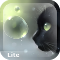 Curious Cat Lite icon
