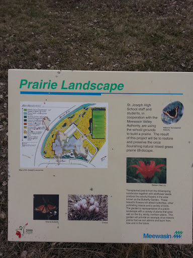 Prairie Landscape 