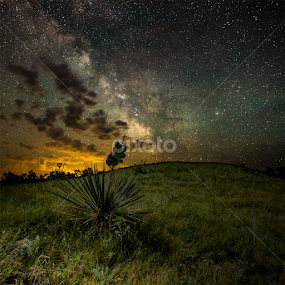 Pike Haven Milky Way by Aaron Groen - Landscapes Starscapes