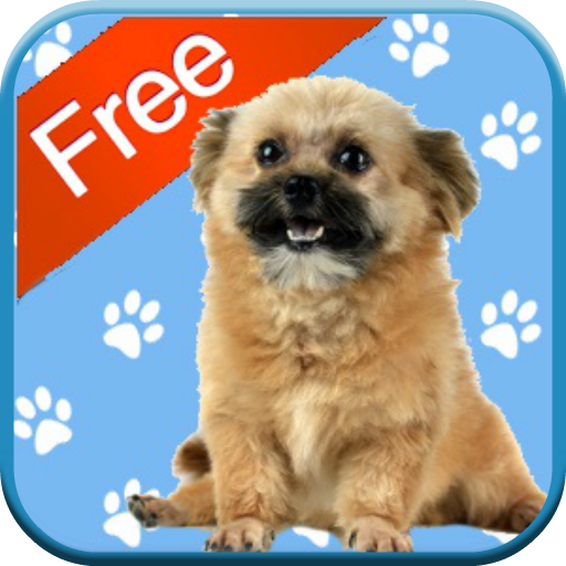Puppy Games Free for Kids 家庭片 App LOGO-APP開箱王