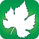 Audubon Trees icon
