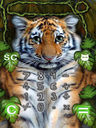 Kitten Calculator poster 16