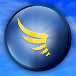 Cover Image of Tải xuống SkyDemon 3.7.1 APK