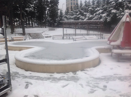 Pool in the Cemetery