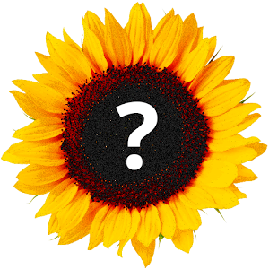 Угадай цветок! Что за цветок?.apk 1.0
