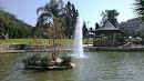 Pond Fountain
