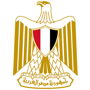 دستور مصر 2014 1.0